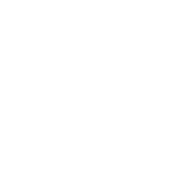 Kinesoa Logo